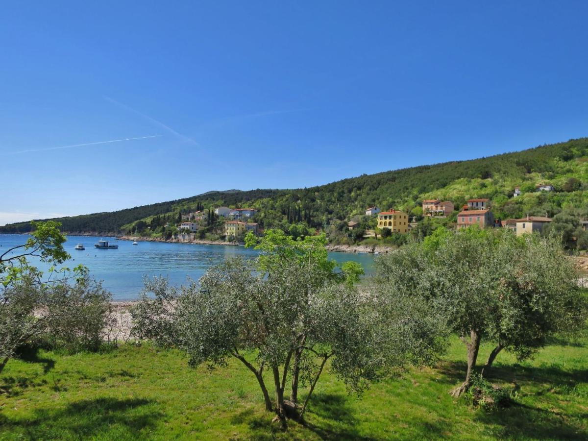 Holiday Home Andrea - Lbn415 By Interhome Labin  Exterior photo